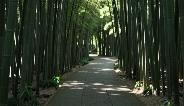 西藏映华企业管理有限公司