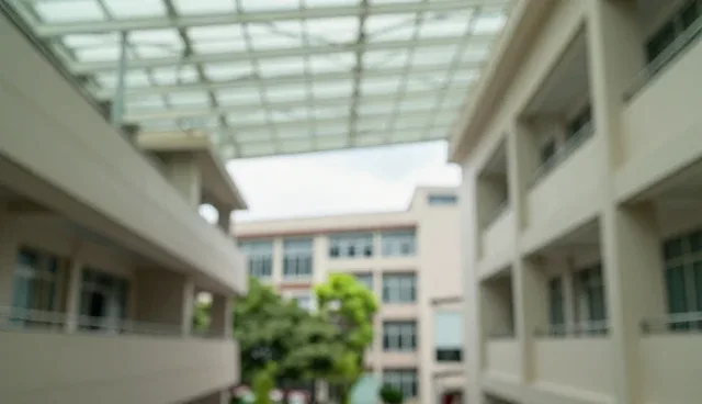 误区澄清:标准化流程并非万能钥匙